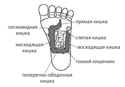 Всі проблеми кишечника на долоні - су-джок