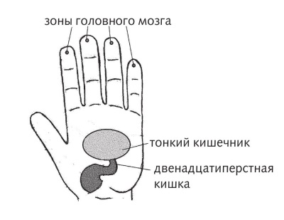 Всі проблеми кишечника на долоні - су-джок