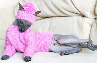 Haine tricotate pentru pisici