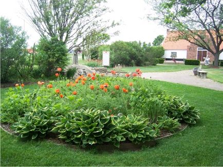 Gazdele din grădină folosesc în designul grădinii, condiții favorabile pentru creștere - log - peisaj