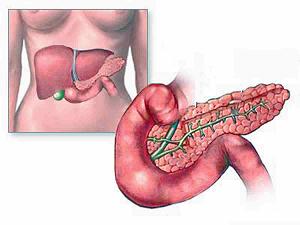 Îndoirea (îndoirea) pancreasului la un copil - simptome, tratament