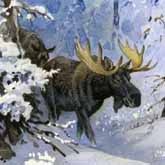 Zagon sau vânătoare de iarnă pentru elk