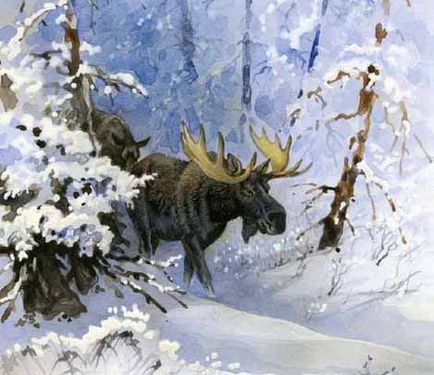 Zagon sau vânătoare de iarnă pentru elk