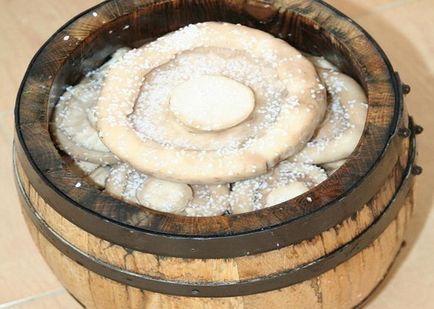 Засолка грибів холодним способом рецепт, як засолити гриби холодним способом