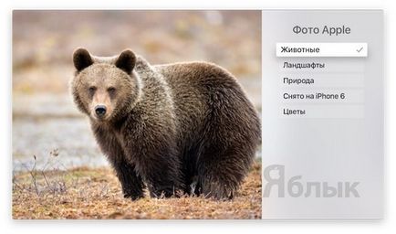 Screensavere (Slideshow) în Apple TV cum se instalează, se modifică și se personalizează, știri Apple