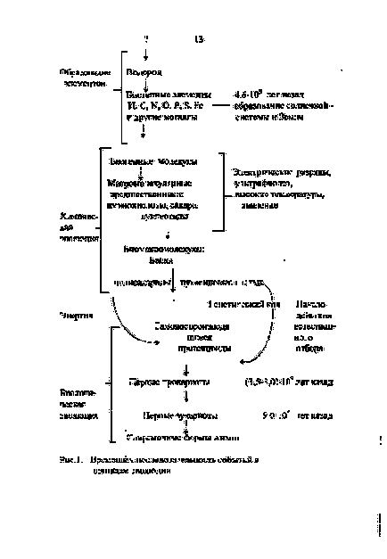 Життя як особлива форма організації матерії