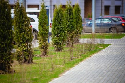 РК «П'ятницька квартали» недоліків і переваг - порівну