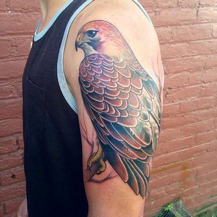 Jelentés tetoválás héja tetoválás, amely azt jelenti, sólyom fotó