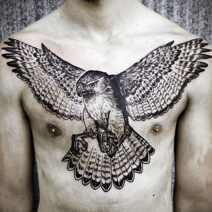 Semnificația unui șoim tatuaj, care înseamnă un tatuaj de șoim, o fotografie