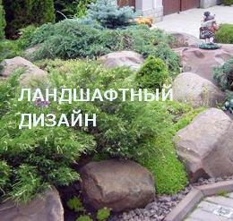 Зола - «безкоштовне» добриво знижує кислотність грунту - сади білорусі