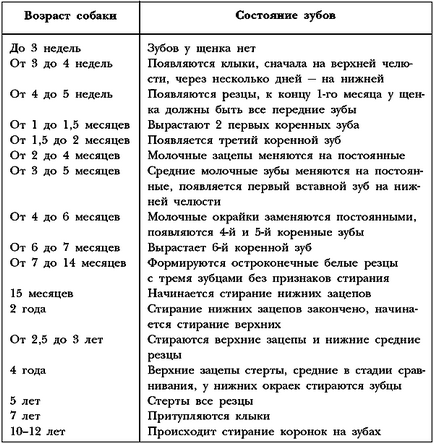 Зуби - німецька вівчарка