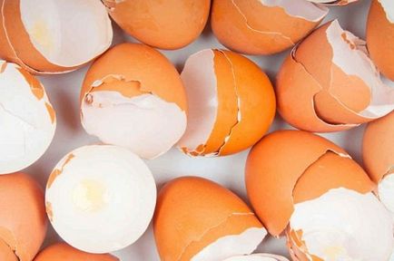 17 Дивних способів використання яєчної шкаралупи - крок до здоров'я