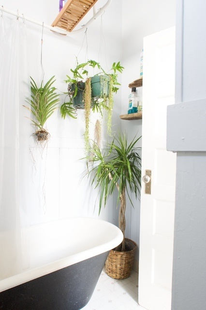 49 Ідей для рослин у ванній кімнаті, pro handmade