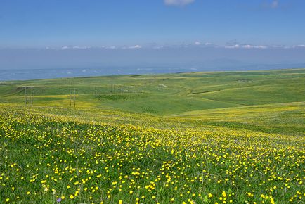 50 Фотографій бермамита в травні, дорога через Хасаут