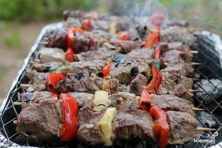 9 Rețete de gustări kebab shish