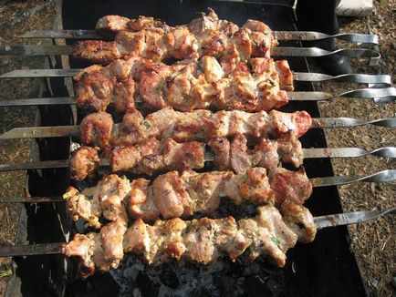 9 Rețete de gustări kebab shish