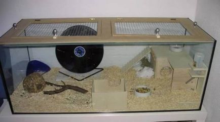 Akvárium, terrárium, Bank hörcsög, hogy ők tartják rágcsáló (Akvárium) Akvárium, terrárium, Bank hörcsög, hogy ők tartják rágcsáló