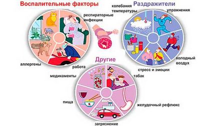 Atmul bronsic provoacă astm bronșic, simptome, diagnostic și tratament