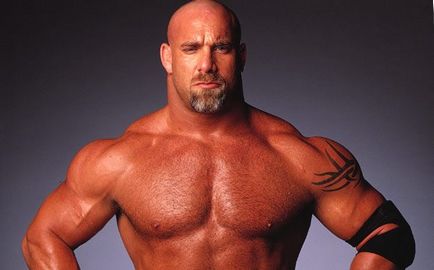 Emlékszel ezek a titánok birkózás Hulk Hogan, Sting, Goldberg, Rock, Kevin Nash!