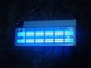 Бактерицидні ультрафіолетові лампи для дезінфекції дому та води і використання в домашніх