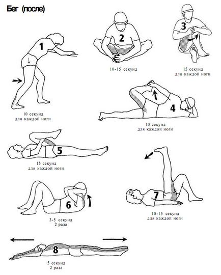 Kocogás, stretching gyakorlatok (izom) Futás, nyújtó gyakorlatok