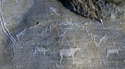 Petroglifele de la Marea Albă din Karelia trăiesc în călătorie