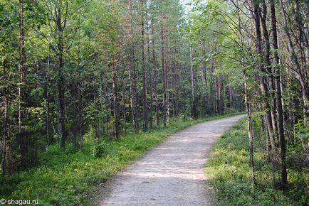 Petroglifele de la Marea Albă (zalavruga) din Karelia