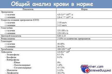 Хвороби крові у літніх - стареча патологія гемопоезу