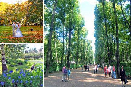 Gradina botanica din Sankt Petersburg fotografie, pret si program