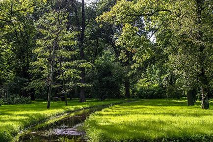 Gradina botanica din Sankt Petersburg fotografie, pret si program