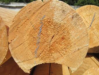 Minél jobb a fa védelmére Légköri hatás alól