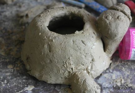 Tortoise-caseta de argilă naturală