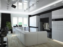 Interiorul alb-negru al camerei de zi (fotografie), decorarea camerei de zi în culorile culorii, repararea apartamentelor