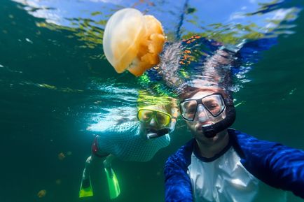 Що не можна робити на море, Рамблер