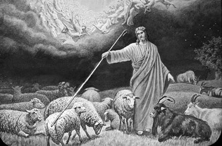 Що потрібно знати про овець, козлів і друге пришестя