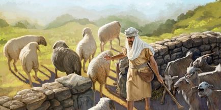 Ce trebuie să știți despre oi, capre și a doua venire