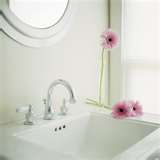 Квіти у ванній - ідеї для дому