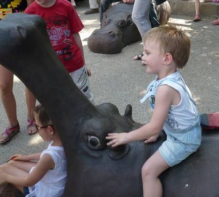 Dontourist, grădina zoologică din Rostov