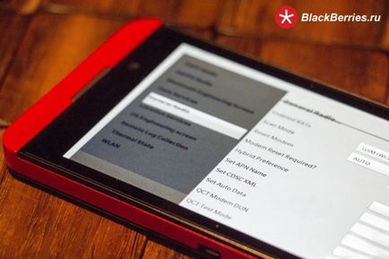 Accesul la setările de inginerie din blackberry z10, mure în Rusia