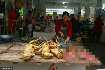 Mâncăm, mâncăm și vom mânca de ce chinezii nu vor să renunțe la carne de câine, Worldlab