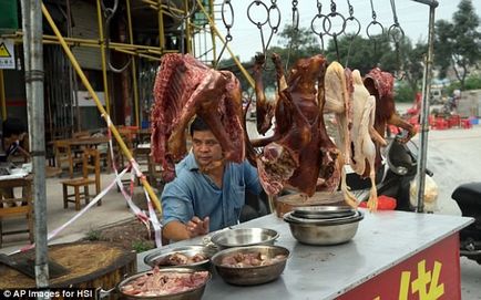 Mâncăm, mâncăm și vom mânca de ce chinezii nu vor să renunțe la carne de câine, Worldlab