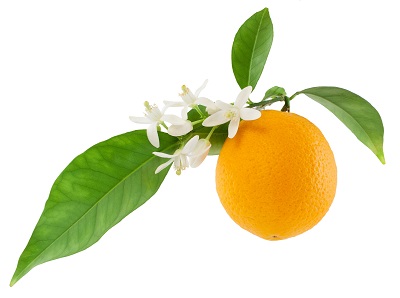 Ефірна олія флер-де-оранж