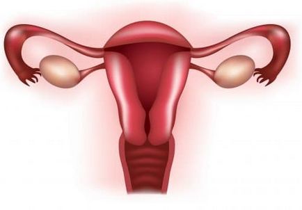 Endometrium 7, 11, 9, 10 mm - ce înseamnă