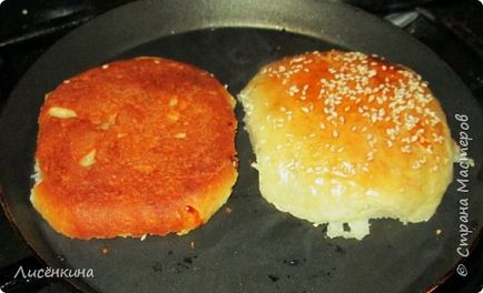 Hamburger - makdonalds se odihnește - mini m, țară de maeștri