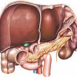 Hepatoză tratamentul hepatic al plantelor, secretele medicinei tradiționale