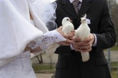 Голуби традиція випускати білих голубів на весіллі - сценарії весілля - корисні статті про модні