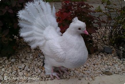 Dove (regal, păun-coada) din sticle de plastic, țara maeștrilor