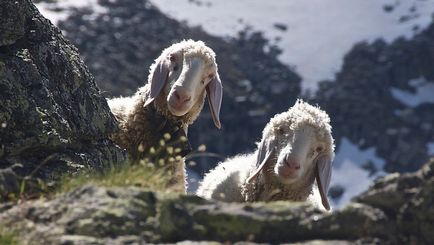 Stațiune de schi Bormio în Italia