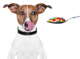 Готові промислові вітаміни для собак характеристика відомих марок