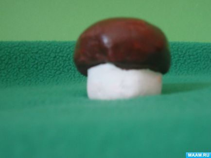 Gyártás agyag dummy gombák (gombák) Termelés dummy gombák agyag
